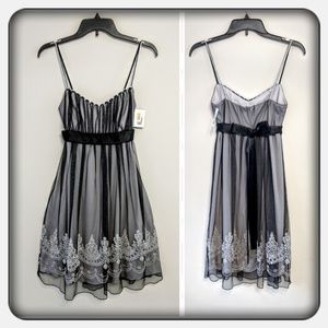 NWT Empire Waist Sheer Dress w/Sparkle Lace Detail